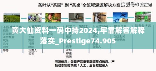 黄大仙资料一码中持2024,牢靠解答解释落实_Prestige74.905