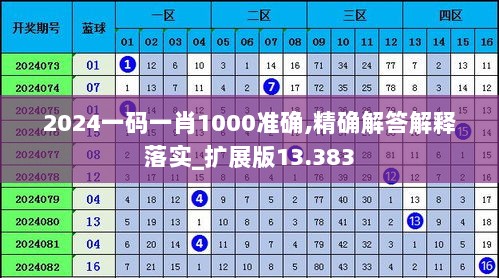 2024一码一肖1000准确,精确解答解释落实_扩展版13.383