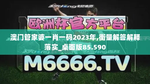 澳门管家婆一肖一码2023年,衡量解答解释落实_桌面版85.590