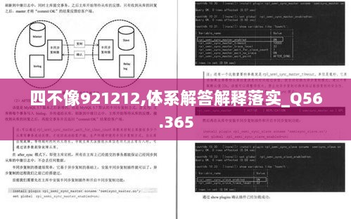 四不像921212,体系解答解释落实_Q56.365