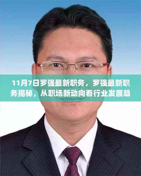 11月7日罗强最新职务揭秘，职场新动向与行业发展趋势的深度解析