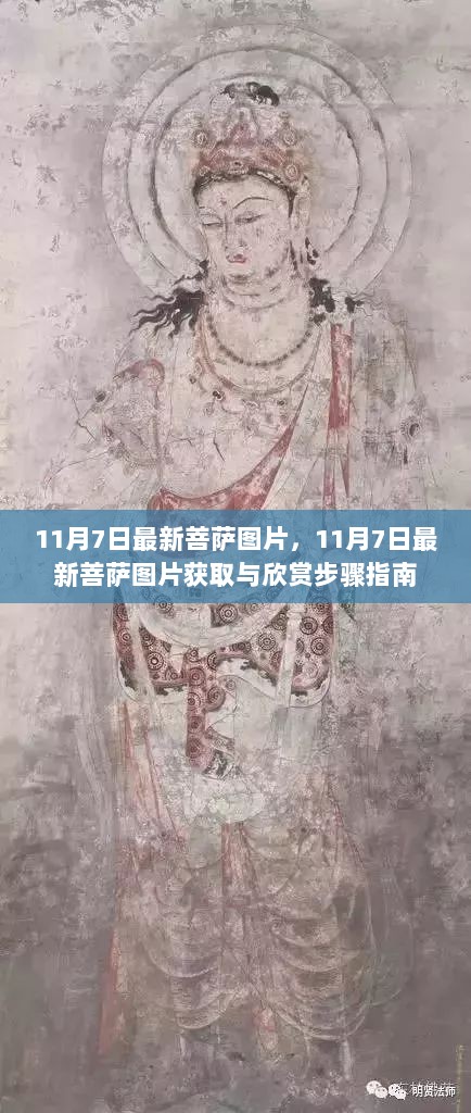 11月7日最新菩萨图片获取与欣赏步骤指南