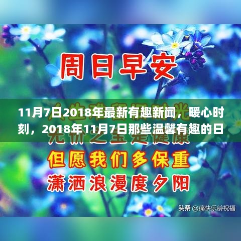 2018年11月7日，暖心时刻与最新有趣新闻的温馨回顾