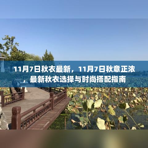 11月7日秋意浓情，最新秋衣选择与时尚搭配指南