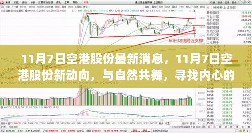 11月7日空港股份最新动态，共舞自然，启程内心平静之旅