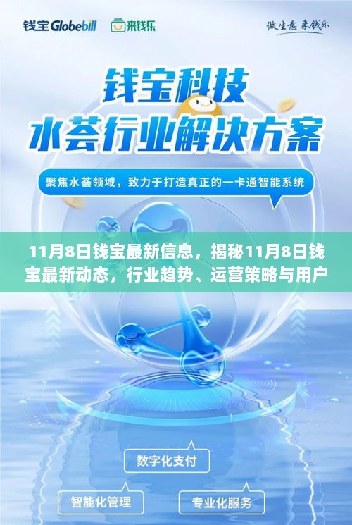 11月8日钱宝最新动态与行业趋势揭秘，运营策略、用户关注焦点及行业动态分析