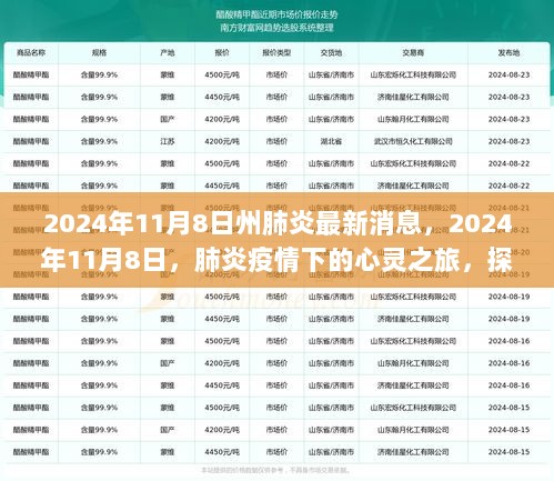 2024年11月8日，肺炎疫情下的心灵之旅——探索自然美景，重拾平静之心