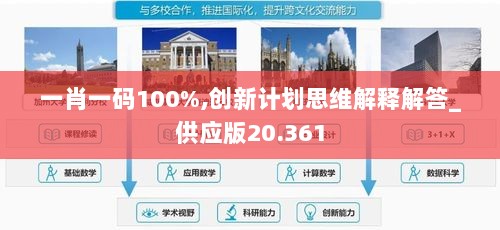 一肖一码100%,创新计划思维解释解答_供应版20.361