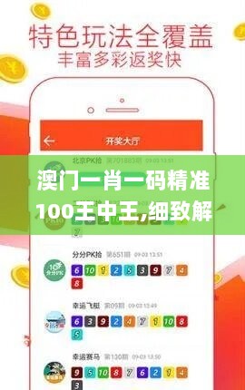 澳门一肖一码精准100王中王,细致解答解释落实_基础版45.799