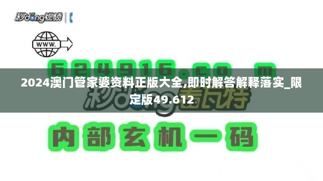 2024澳门管家婆资料正版大全,即时解答解释落实_限定版49.612