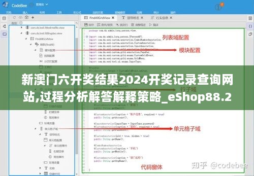 新澳门六开奖结果2024开奖记录查询网站,过程分析解答解释策略_eShop88.251