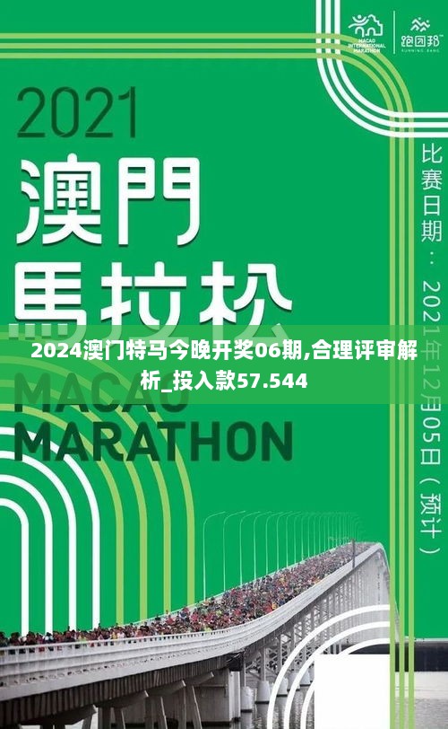 2024澳门特马今晚开奖06期,合理评审解析_投入款57.544