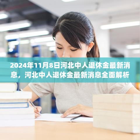 2024年河北中人退休金最新消息全面解析，特性、体验与市场对比