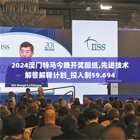 2024澳门特马今晚开奖图纸,先进技术解答解释计划_投入制59.694