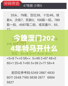 今晚澳门2024年特马开什么,牢靠解答解释落实_体验版41.405