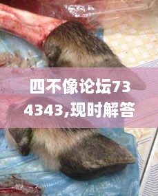 四不像论坛734343,现时解答解释落实_铂金版10.286