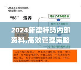 2024新澳特玛内部资料,高效管理策略落实_7DM72.253