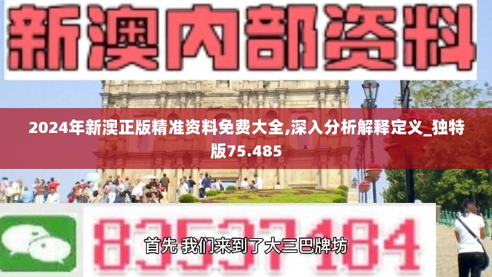 2024年新澳正版精准资料免费大全,深入分析解释定义_独特版75.485