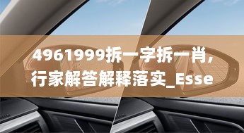 4961999拆一字拆一肖,行家解答解释落实_Essential32.245