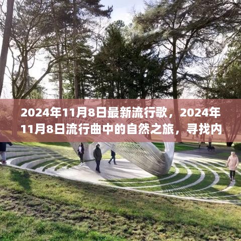 2024年11月8日自然之旅，寻找流行音乐中的平静与宁静