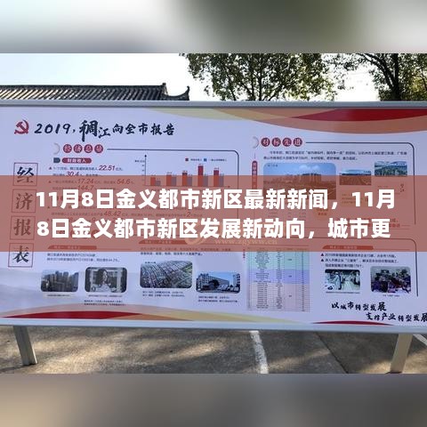 金义都市新区11月8日新闻快报，城市更新与未来规划的深度解读与发展新动向