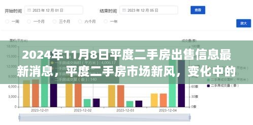 2024年平度二手房市场新风，变化中的自信与成就之歌