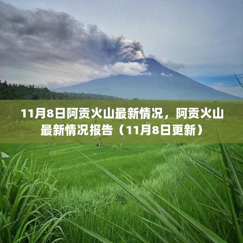 阿贡火山最新情况报告（11月8日更新）