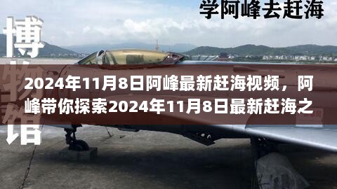 阿峰2024年11月8日赶海之旅，探索自然之美，寻找内心的平静