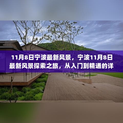 11月8日宁波最新风景探索之旅，从入门到精通的详细步骤指南