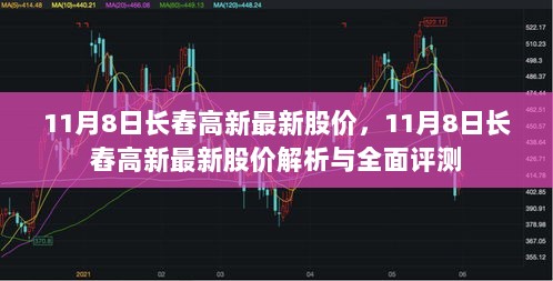 11月8日长舂高新最新股价解析与全面评测