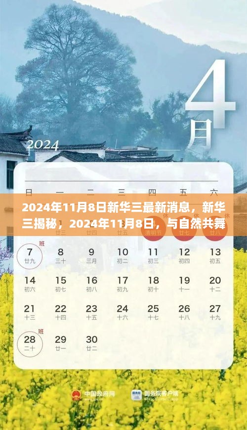 新华三揭秘，2024年11月8日与自然共舞的旅行之旅