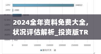 2024全年资料免费大全,状况评估解析_投资版TRI847.19