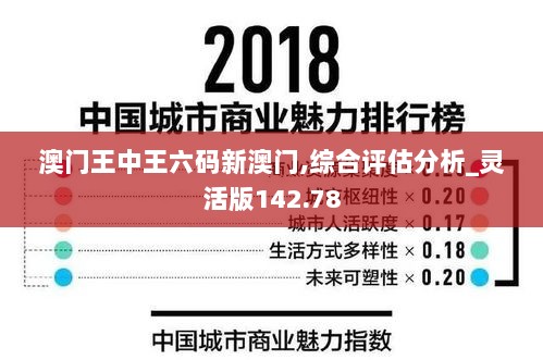 澳门王中王六码新澳门,综合评估分析_灵活版142.78