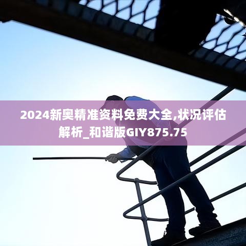 2024新奥精准资料免费大全,状况评估解析_和谐版GIY875.75