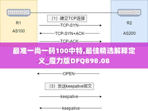 最准一尚一码100中特,最佳精选解释定义_魔力版DFQ898.08