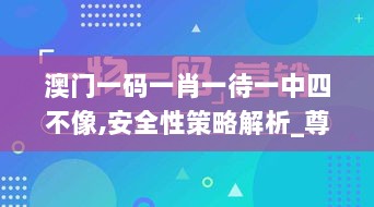 澳门一码一肖一待一中四不像,安全性策略解析_尊享版XUB378.02