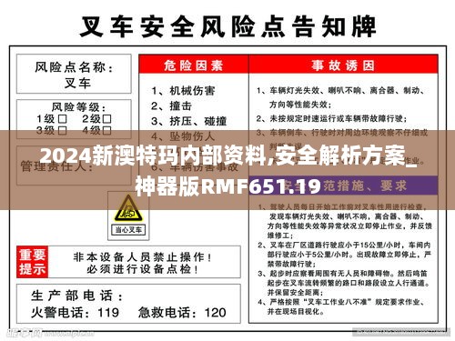 2024新澳特玛内部资料,安全解析方案_神器版RMF651.19