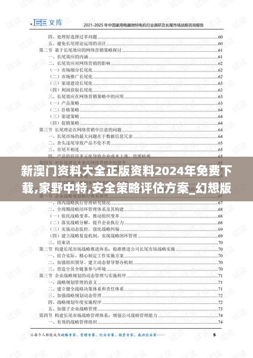 新澳门资料大全正版资料2024年免费下载,家野中特,安全策略评估方案_幻想版FNP43.36