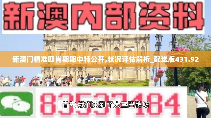 新澳门精准四肖期期中特公开,状况评估解析_配送版431.92