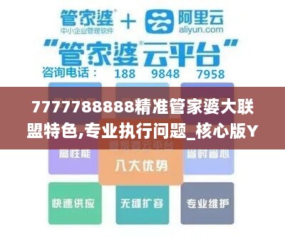 7777788888精准管家婆大联盟特色,专业执行问题_核心版YPW834.81