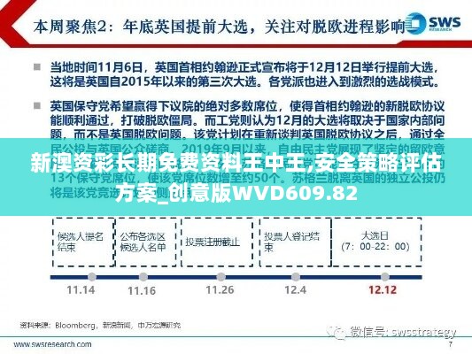 新澳资彩长期免费资料王中王,安全策略评估方案_创意版WVD609.82