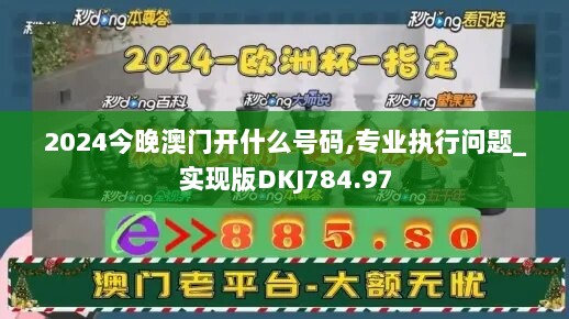 2024今晚澳门开什么号码,专业执行问题_实现版DKJ784.97