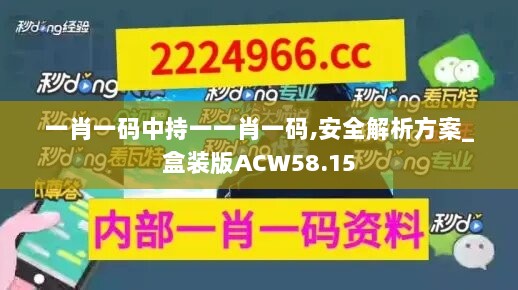 一肖一码中持一一肖一码,安全解析方案_盒装版ACW58.15