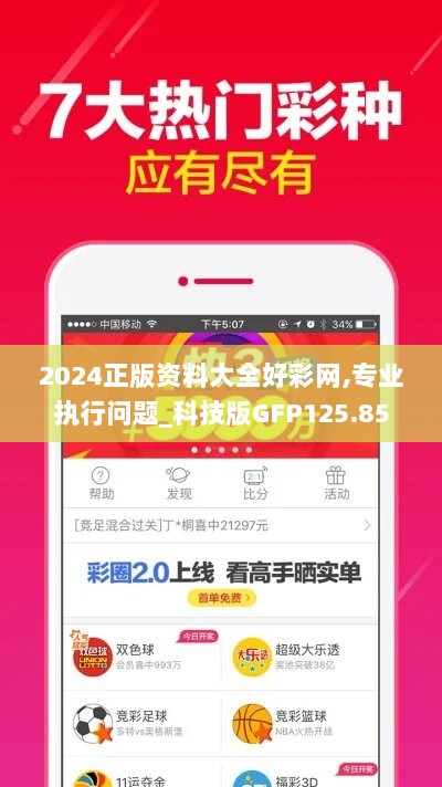 2024正版资料大全好彩网,专业执行问题_科技版GFP125.85