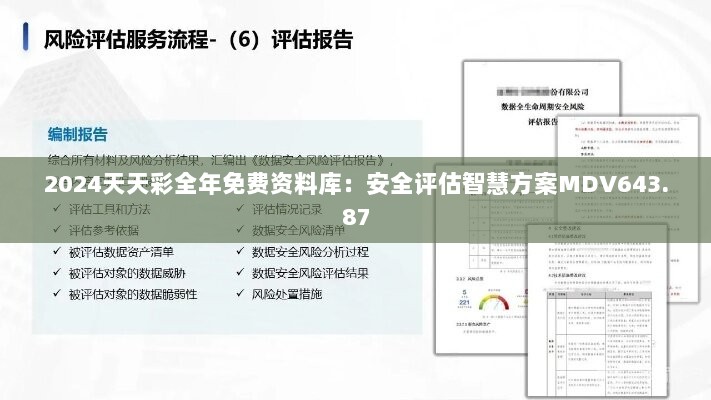 2024天天彩全年免费资料库：安全评估智慧方案MDV643.87