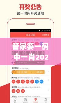 管家婆一码中一肖2024,准确资料解释_安全版UXR835.19