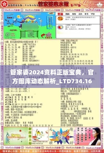 管家婆2024资料正版宝典，官方图库动态解析_LTD734.16