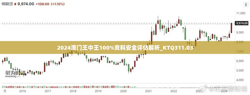 2024澳门王中王100%资料安全评估解析_KTQ311.03