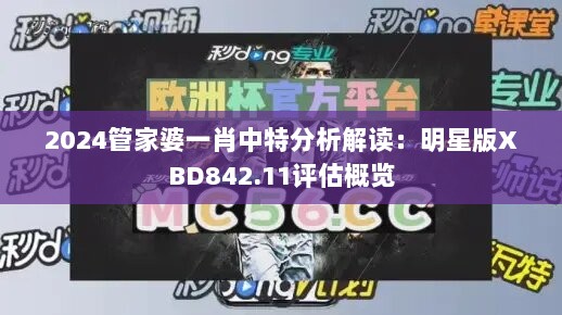 2024管家婆一肖中特分析解读：明星版XBD842.11评估概览