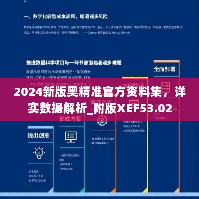 2024新版奥精准官方资料集，详实数据解析_附版XEF53.02